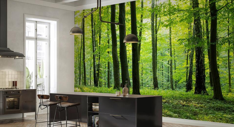 A mural of a forest in an office.